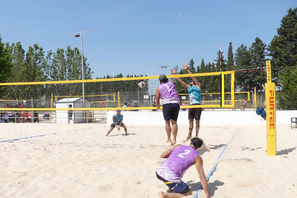 PARQUE DEPORTIVO EBRO VOLEY PLAYA